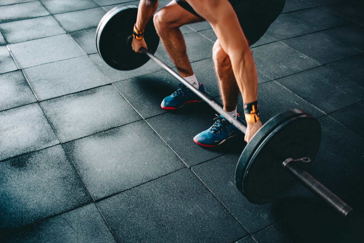 Muscle Building